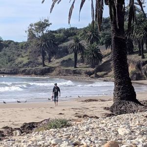 Meet your Posher, Kyle